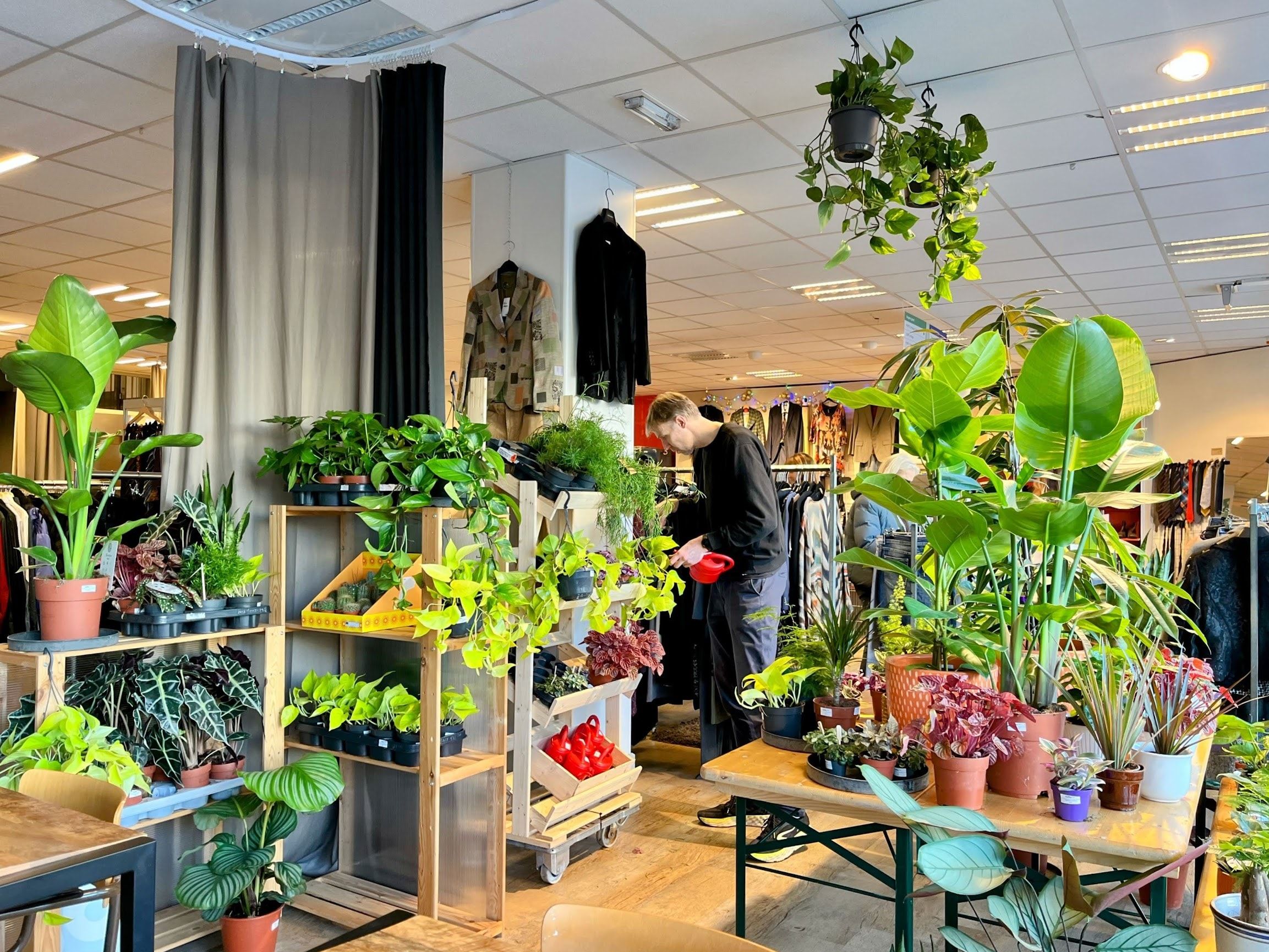 Het warenhuis